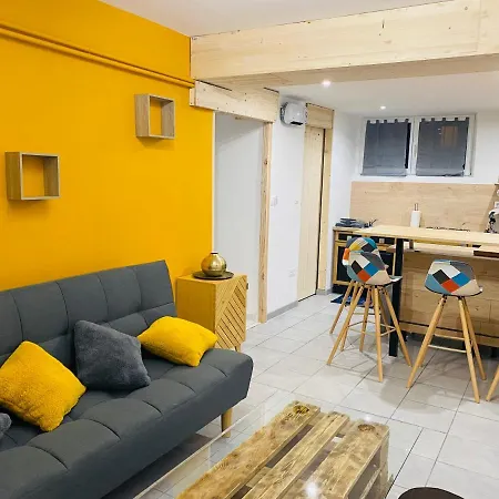 Studio 40M2 Plein Pied Avec Parking Jussac Exterior photo